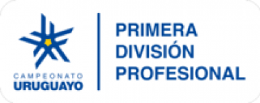 Primera División - Apertura logo league