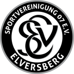 SV Elversberg logo club