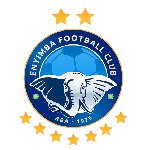 Enyimba logo club